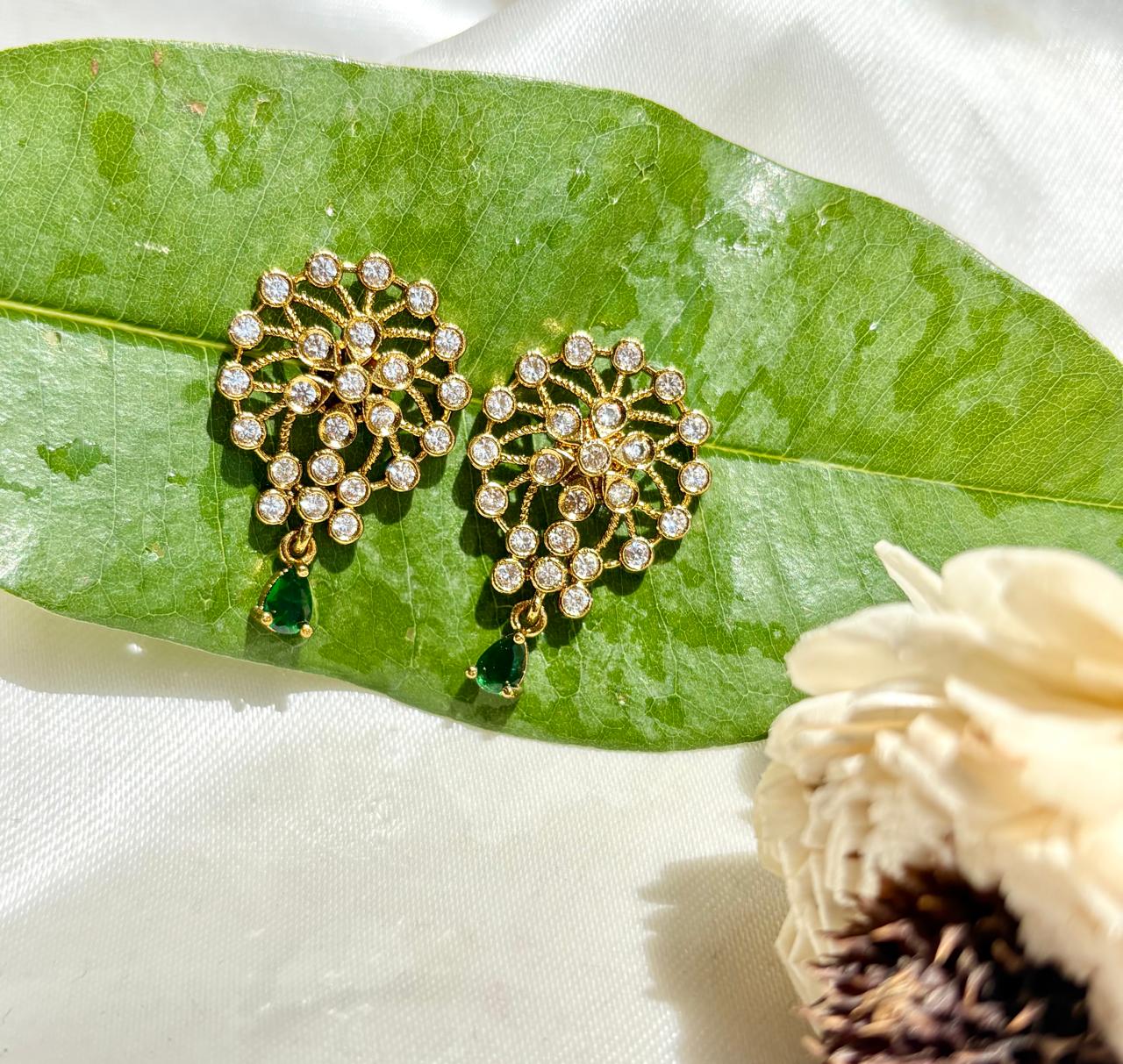 Nazakaat earrings