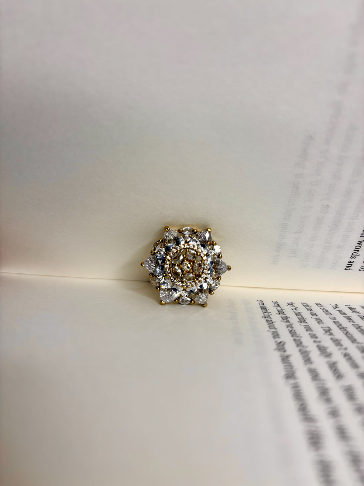 Ring 02