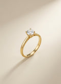 Ring 2-06 - studio